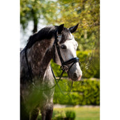 HB Ruitersport Zaum Showtime Ultimate Dream Schwarz HB Ruitersport Zaum Showtime Ultimate Dream Schwarz