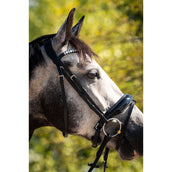 HB Ruitersport Zaum Showtime Ultimate Dream Schwarz HB Ruitersport Zaum Showtime Ultimate Dream Schwarz