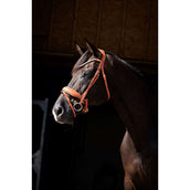 HB Showtime Zaum Chesnuth Cognac HB Showtime Zaum Chesnuth Cognac