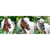 HB Halfter Sunny Flower Fuchsia HB Halfter Sunny Flower Fuchsia