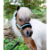 HB Halfter Sunny Flower Blau HB Halfter Sunny Flower Blau