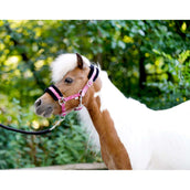 HB Halfter Sunny Flower Fuchsia HB Halfter Sunny Flower Fuchsia