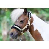 HB Halfter Sunny Flower Gelb HB Halfter Sunny Flower Gelb