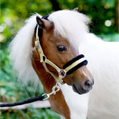 HB Halfter Sunny Flower Gelb HB Halfter Sunny Flower Gelb