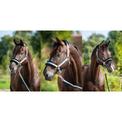 HB Halfter Showtime Pioneer Eisblau HB Halfter Showtime Pioneer Eisblau