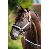 HB Halfter Showtime Pioneer Eisblau HB Halfter Showtime Pioneer Eisblau