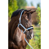HB Halfter Showtime Pioneer Eisblau HB Halfter Showtime Pioneer Eisblau