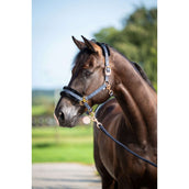 HB Halfter Showtime Pioneer Schwarz HB Halfter Showtime Pioneer Schwarz