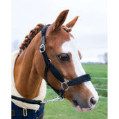 HB Halfter Showtime Velvet Little Sizes Schwarz/Schwarz Funkeln HB Halfter Showtime Velvet Little Sizes Schwarz/Schwarz Funkeln