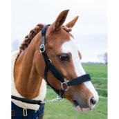 HB Halfter Showtime Velvet Little Sizes Schwarz/Schwarz Funkeln HB Halfter Showtime Velvet Little Sizes Schwarz/Schwarz Funkeln