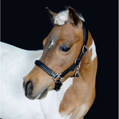 HB Halfter Showtime Little Sizes Leder Schwarz HB Halfter Showtime Little Sizes Leder Schwarz