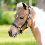 HB Halfter Showtime Little Sizes Leder Schwarz HB Halfter Showtime Little Sizes Leder Schwarz