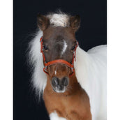 HB Halfter Showtime Little Sizes Cognac/Cognac HB Halfter Showtime Little Sizes Cognac/Cognac