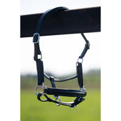 HB Halfter Showtime Glitty Little Sizes Schwarz/Navy Funkeln HB Halfter Showtime Glitty Little Sizes Schwarz/Navy Funkeln