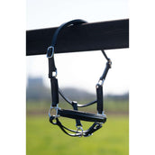 HB Halfter Showtime Glitty Little Sizes Schwarz/Schwarz Funkeln HB Halfter Showtime Glitty Little Sizes Schwarz/Schwarz Funkeln