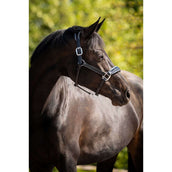 HB Ruitersport Halfter Showtime Grand Slam Schwarz/Aqua Blue HB Ruitersport Halfter Showtime Grand Slam Schwarz/Aqua Blue