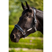 HB Ruitersport Halfter Showtime Grand Slam Schwarz/Aqua Blue HB Ruitersport Halfter Showtime Grand Slam Schwarz/Aqua Blue