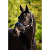 HB Ruitersport Halfter Showtime Grand Slam Schwarz/Aqua Blue HB Ruitersport Halfter Showtime Grand Slam Schwarz/Aqua Blue
