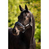 HB Ruitersport Halfter Showtime Grand Slam Schwarz/Aqua Blue HB Ruitersport Halfter Showtime Grand Slam Schwarz/Aqua Blue