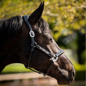 HB Ruitersport Halfter Showtime Pasadena Schwarz HB Ruitersport Halfter Showtime Pasadena Schwarz