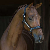 HB Showtime Halfter Lorenzo Leder Schwarz HB Showtime Halfter Lorenzo Leder Schwarz