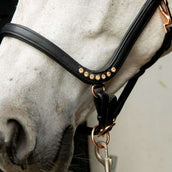 HB Showtime Halfter Anatomic Braun HB Showtime Halfter Anatomic Braun