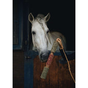 Herbie Kräuter-Holzspielzeug Immunity Herbie Kräuter-Holzspielzeug Immunity