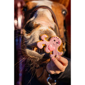 Candy Horse Love Cookie Octopus Candy Horse Love Cookie Octopus