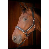 Harry's Horse Halfter Leder Metallic Schwarz/Roségold Harry's Horse Halfter Leder Metallic Schwarz/Roségold
