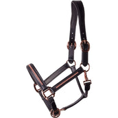 Harry's Horse Halfter Leder Metallic Schwarz/Roségold Harry's Horse Halfter Leder Metallic Schwarz/Roségold