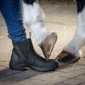 Harry's Horse Stallschuhe Leder Safety Steel Toe Schwarz Harry's Horse Stallschuhe Leder Safety Steel Toe Schwarz