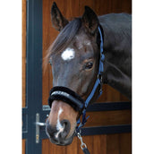 Harry's Horse Halfter Lyrics Quotes Navy Harry's Horse Halfter Lyrics Quotes Navy