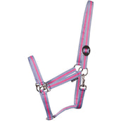 Harry's Horse Halfter Economy Hellblau/Rosa/Hellblau Harry's Horse Halfter Economy Hellblau/Rosa/Hellblau