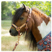 Harry's Horse Halfterset Diva Mauvewood Mauvewood Harry's Horse Halfterset Diva Mauvewood Mauvewood