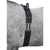 HKM Longiergurt Canvas mit Doppelter Handgriff Schwarz HKM Longiergurt Canvas mit Doppelter Handgriff Schwarz