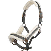 HKM Halfter Strong Olivgrün HKM Halfter Strong Olivgrün