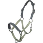 HKM Halfter Barnie Hellgrün/Dunkelgrün HKM Halfter Barnie Hellgrün/Dunkelgrün