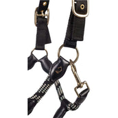 Lauria Garrelli Halfter Limone Sportive Schwarz Lauria Garrelli Halfter Limone Sportive Schwarz