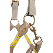 Lauria Garrelli Halfter Limone Sportive Grau/Beige Lauria Garrelli Halfter Limone Sportive Grau/Beige