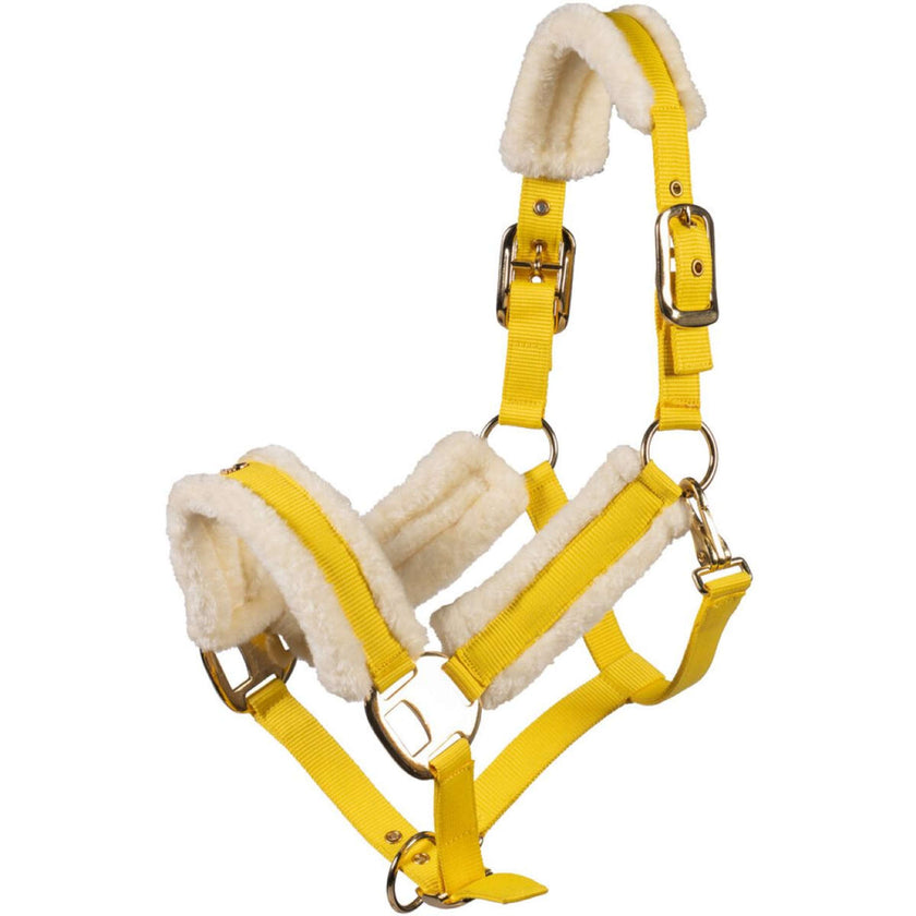 Lauria Garrelli Halfter Limone Elegant Lemon Lauria Garrelli Halfter Limone Elegant Lemon