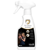 Excellent Hi Gloss Spray Big Hug Excellent Hi Gloss Spray Big Hug