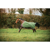 Amigo Hero Ripstop 50g Bramble/Winterberry Amigo Hero Ripstop 50g Bramble/Winterberry