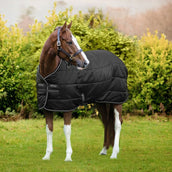 Amigo Liner Diamond Insulator 100g Schwarz/Silber Amigo Liner Diamond Insulator 100g Schwarz/Silber