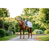Horseware Ausreitdecke Newmarket Witney Charcoal Horseware Ausreitdecke Newmarket Witney Charcoal