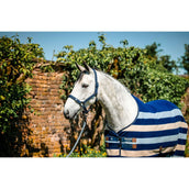 Amigo Halfter & Strick Newmarket Witney Navy Amigo Halfter & Strick Newmarket Witney Navy