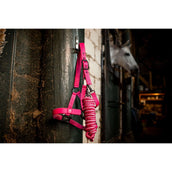 Amigo Halfter & Strick Newmarket Witney Pink Amigo Halfter & Strick Newmarket Witney Pink