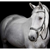Horseware Micklem Diamante Competition Bridle Schwarz Horseware Micklem Diamante Competition Bridle Schwarz