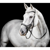 Horseware Micklem Competition Bridle Schwarz Horseware Micklem Competition Bridle Schwarz
