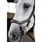Horseware Micklem Multi Bridle Schwarz Horseware Micklem Multi Bridle Schwarz