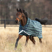 Rhino Wug Turnout Medium Varilayer 250g Hunter Check Rhino Wug Turnout Medium Varilayer 250g Hunter Check